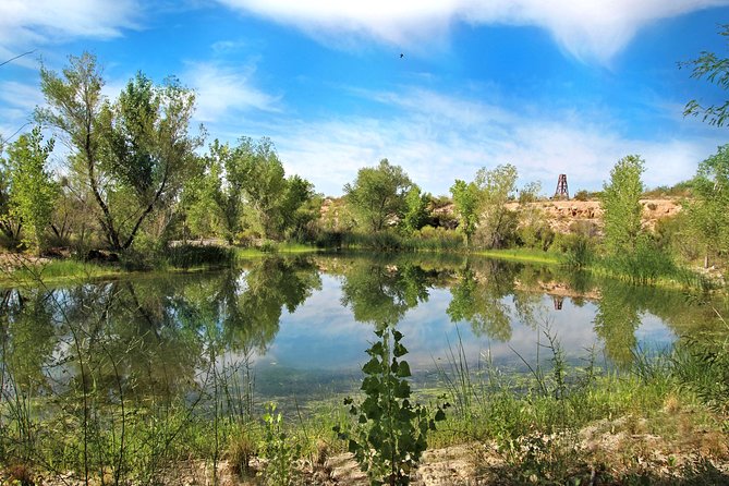 Skip the Line: Springs Preserve in Las Vegas Admission Ticket - A Detailed Look at the Springs Preserve Experience