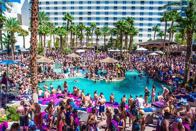 Vegas Pool Party Crawl by Party Bus w/ EZ Entry & Free Drinks - A Closer Look at the Vegas Pool Party Crawl Experience