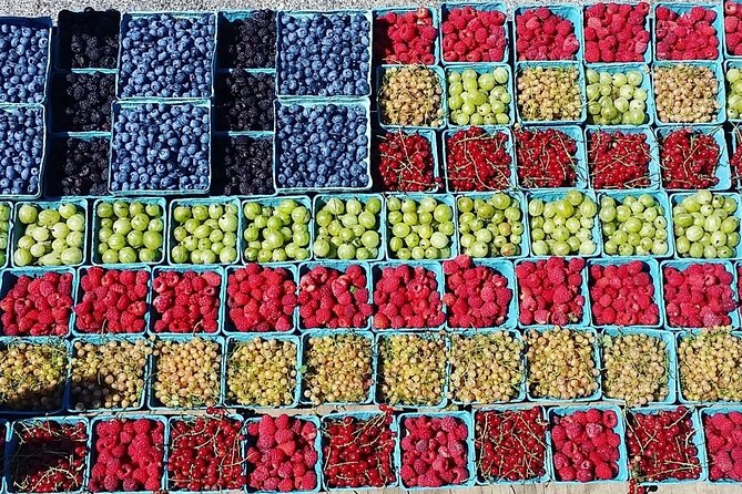 Lewin Farms, Lavender By The Bay and Tanger Outlets Full-Day Tour - Final Thoughts