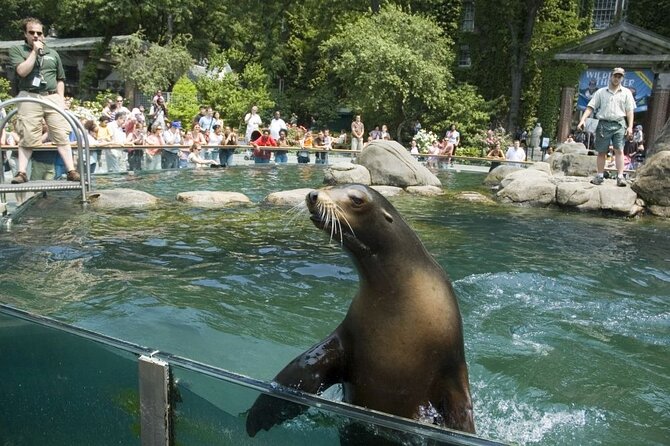 Central Park Zoo and 3hrs Manhattan Walking Tour - Discover New York with a 3-Hour Manhattan Walking Tour and Central Park Zoo Visit