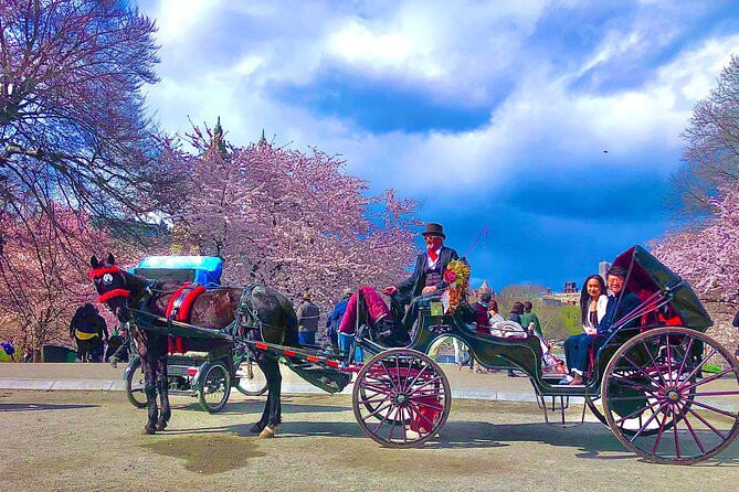 VIP Central Park Champagne Tour with Photos(50 min)~Skip the line - An Honest Look at the Central Park Champagne Horse-Drawn Carriage Ride