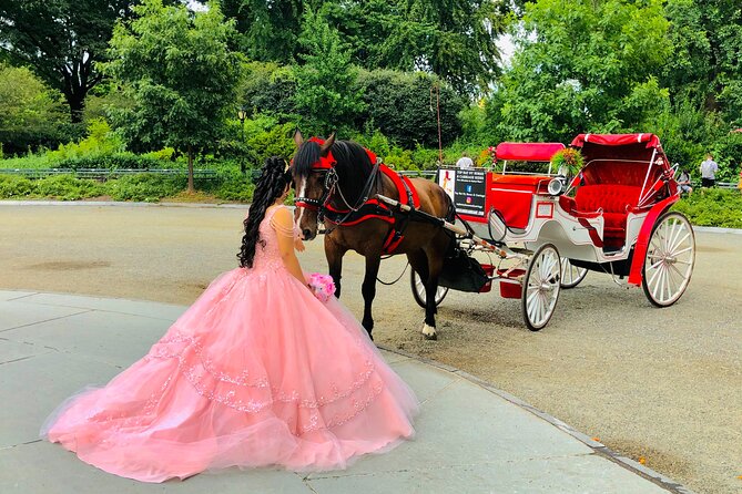 VIP Central Park Champagne Tour with Photos(50 min)~Skip the line - FAQs