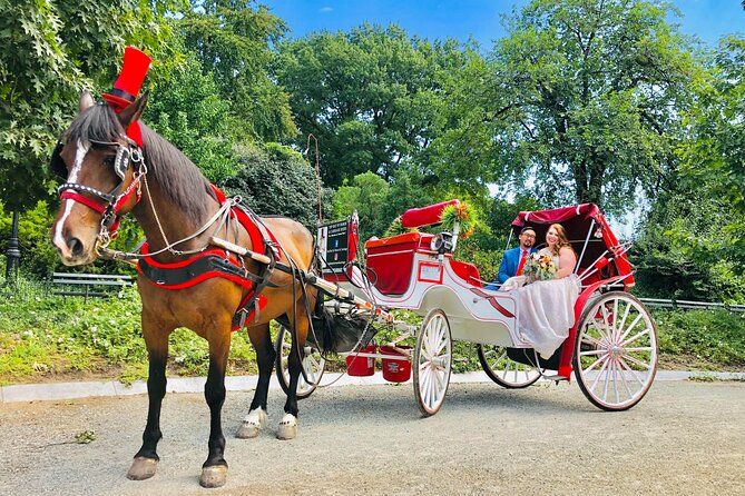 VIP Central Park Champagne Tour with Photos(50 min)~Skip the line - Final Thoughts: Who Will Get the Most Out of This Tour?