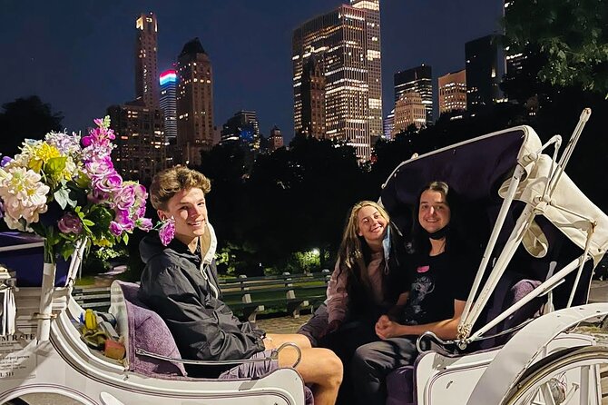 Central Park Moonlight Tour with Photo (45 min) ~ Skip the line - What Is the Central Park Moonlight Carriage Tour?