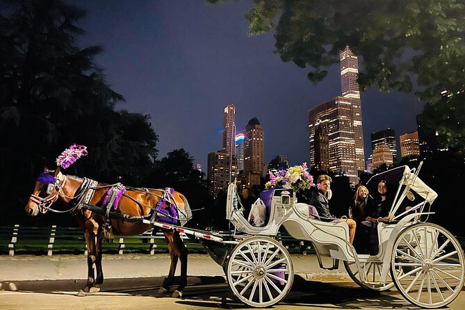 Central Park Moonlight Tour with Photo (45 min) ~ Skip the line - The Itinerary and Sights