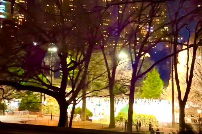 Central Park Moonlight Tour with Photo (45 min) ~ Skip the line - FAQ
