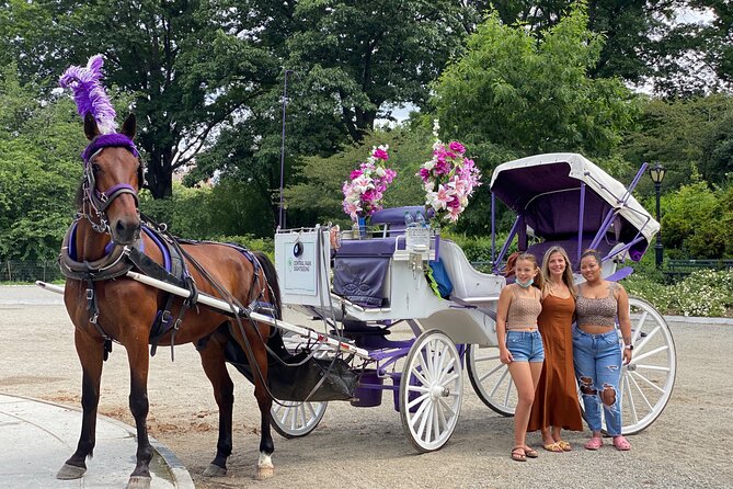 OFFICIAL NYC Central Park Horse Carriage Rides - Key Points