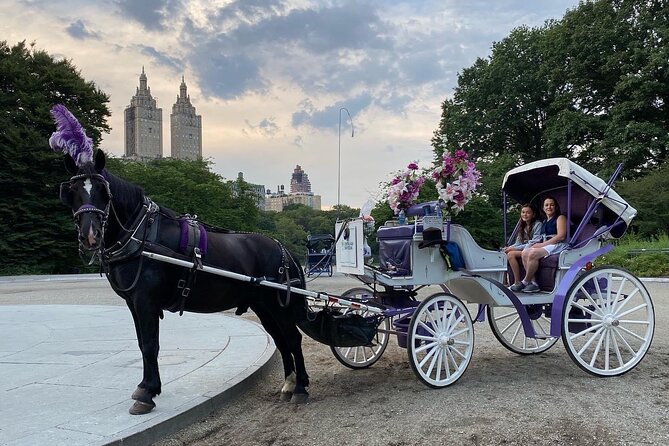 OFFICIAL NYC Central Park Horse Carriage Rides - Final Thoughts: Who Will Love This Experience?