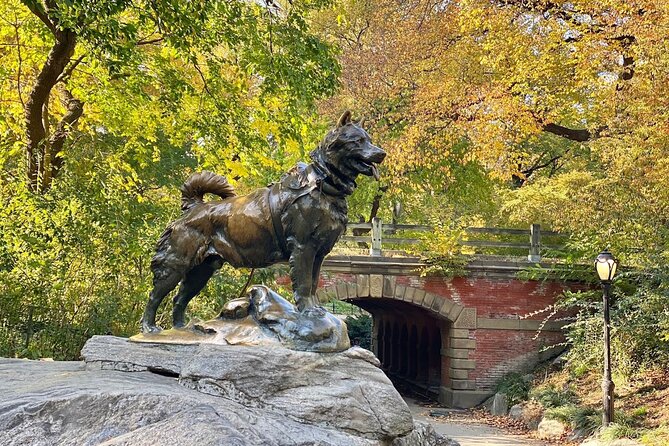 Guided Central Park Bike Tour 2 Hours - Practical Details