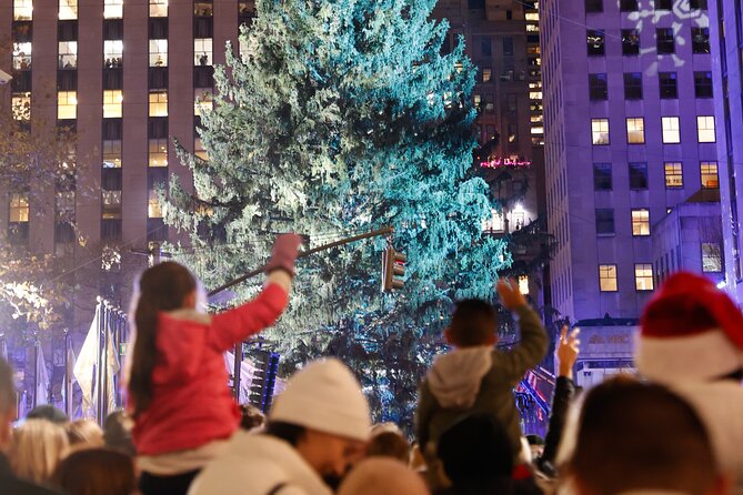 Tree Lighting Ceremony Indoor Viewing from 45 Rockefeller Center - Who Should Book This Tour?