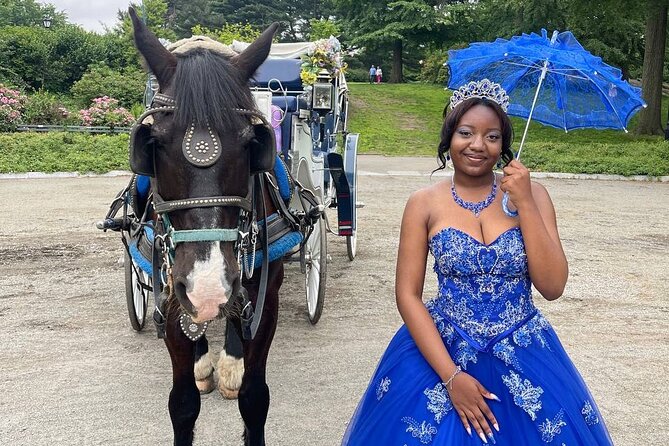 NYC Horse and Carriage Central Park Tours - A detailed look at the Central Park Horse and Carriage Tour