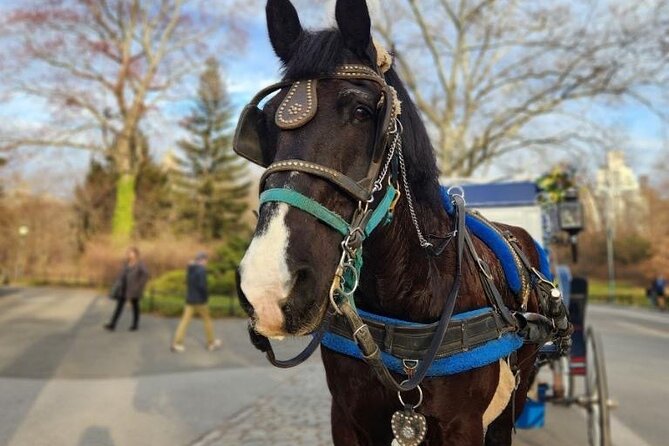 NYC Horse and Carriage Central Park Tours - Authentic Insights from Reviews and Guides