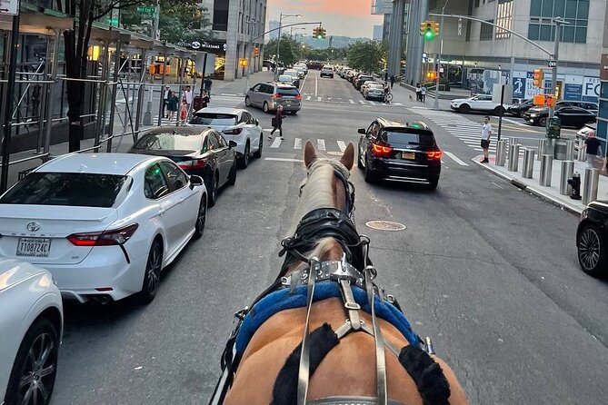 NYC Horse and Carriage Central Park Tours - FAQ