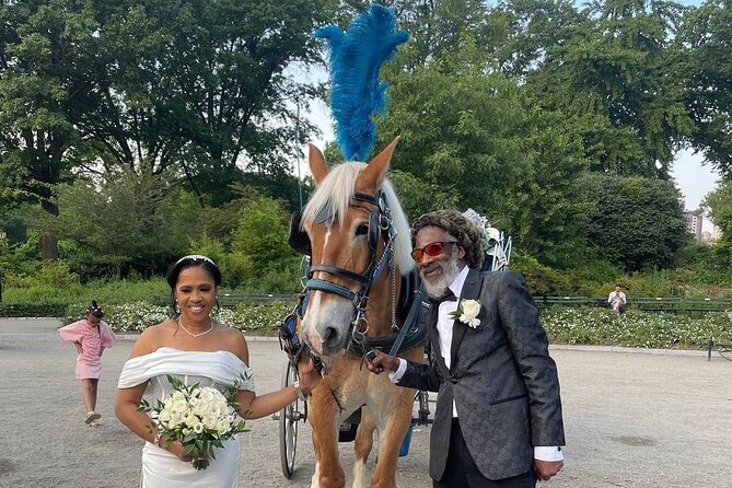 NYC Horse and Carriage Central Park Tours - Who Should Book This Tour?