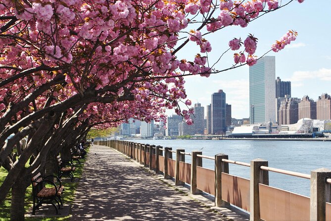 Uptown to Midtown Roosevelt island tour - Practical Details: Meeting Points and Flexibility