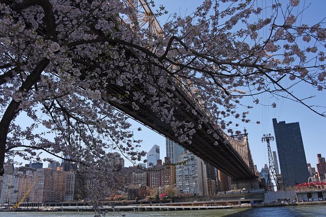 Uptown to Midtown Roosevelt island tour - FAQ: Your Practical Questions Answered