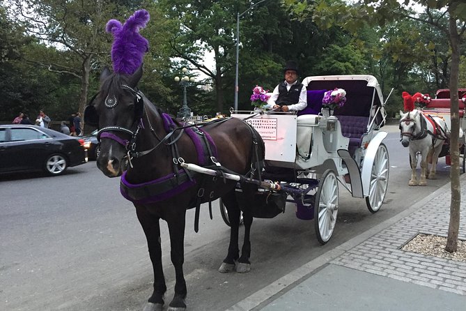NYC Central Park Horse and Carriage Ride: Long Ride 45 min - Pricing and Value