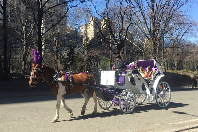 NYC Central Park Horse and Carriage Ride: Long Ride 45 min - Final Thoughts