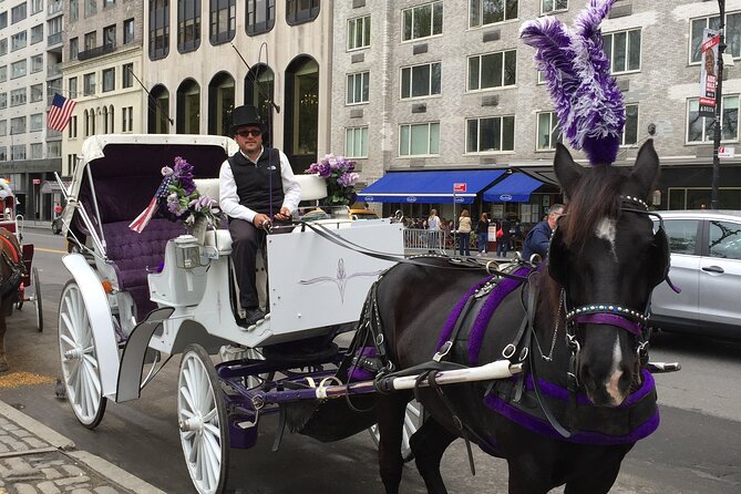 NYC Central Park Horse and Carriage Ride: Long Ride 45 min - FAQ