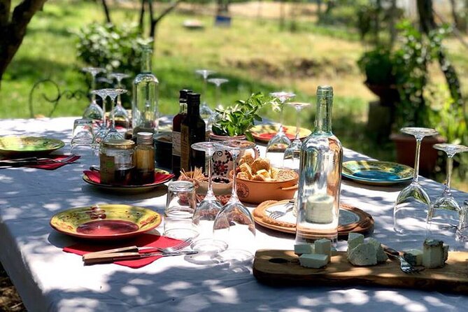 Full-Day Luxury Long Island Private Winery Tour - The Experience According to the Reviews