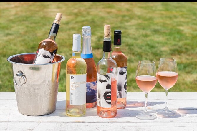 Full-Day Luxury Long Island Private Winery Tour - Analyzing the Value