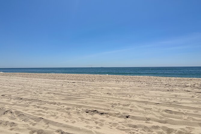 Full-Day Luxury Long Island Private Winery Tour - Final Thoughts