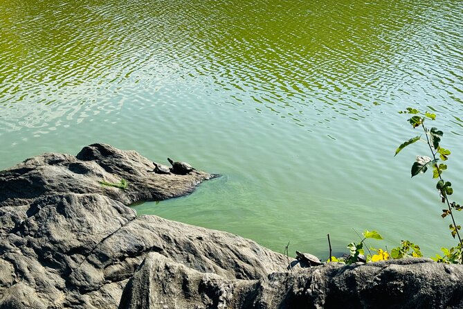 Central Park Guided Pedicab Tour in New York - FAQs About the Central Park Pedicab Tour