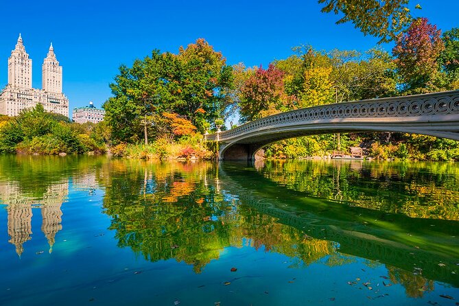 1 Hour Private Guided Tour - What the Experience Feels Like