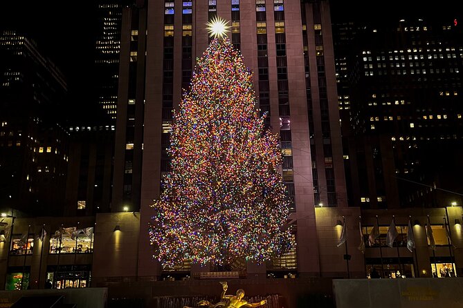 New York City Custom Private Tour with Japanese/English Guide - Final Thoughts