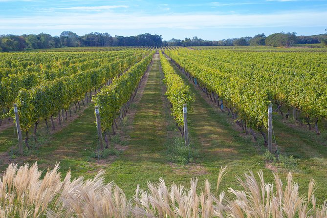 The Hamptons and Long Island Wineries Private Tour - Who Would Love This Tour?