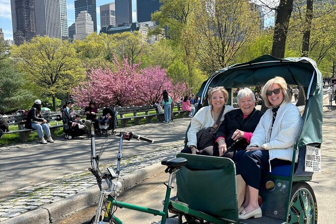 Central Park Movie Locations and Celebrity Homes Pedicab Tour - Who Should Consider This Tour?