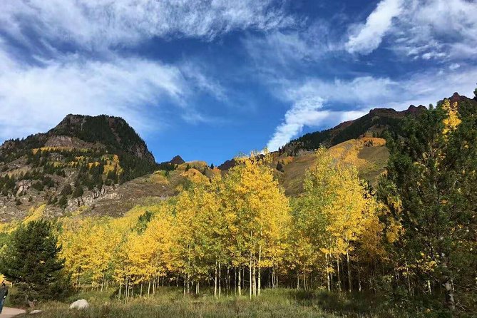 Olympic National Park Full-Day Tour W/ Scenic State Ferries - Practical Tips for the Trip