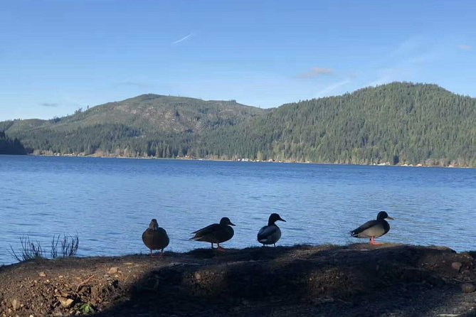 Olympic National Park Full-Day Tour W/ Scenic State Ferries - FAQ