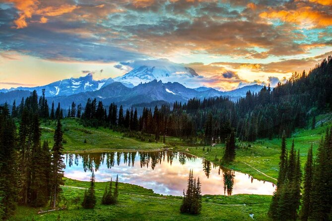 Small Group Mt Rainier National Park Day Tour from Seattle 2CanGo - Who Should Consider This Trip?