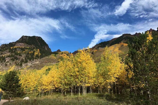 Small Group Mt Rainier National Park Day Tour from Seattle 2CanGo - Final Thoughts
