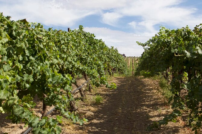 From Seattle Wine Tasting, Vineyards in Eastern WA - A Closer Look at the Tour Itinerary