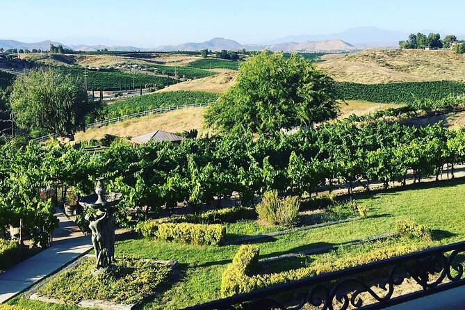 From Seattle Wine Tasting, Vineyards in Eastern WA - Who Would Love This Tour?