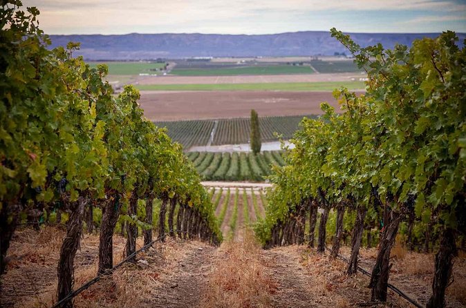 From Seattle Wine Tasting, Vineyards in Eastern WA - Practical Tips