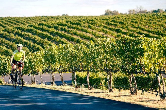 From Seattle Wine Tasting, Vineyards in Eastern WA - FAQ