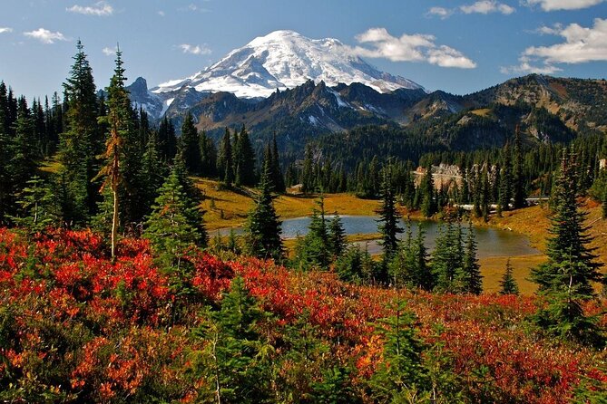 Mount Rainier Customized Tour from Seattle - A Full Day Exploring Mount Rainier – What You Need to Know