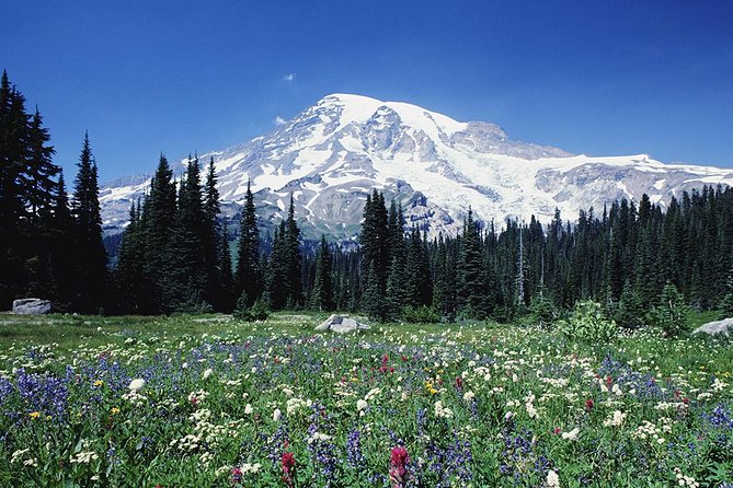 Mt. Rainier Day Tour from Seattle - Transportation and Timing
