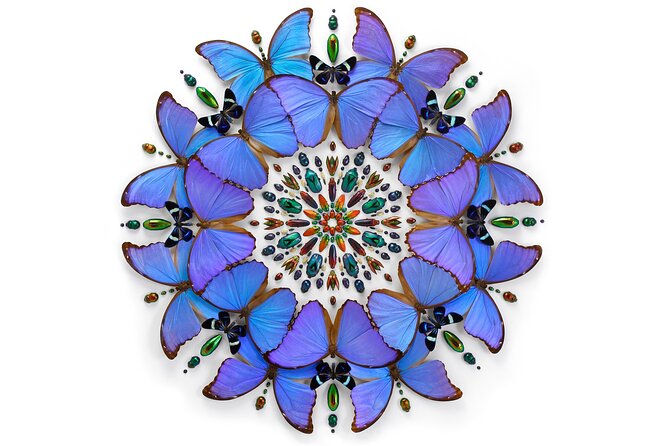 Exquisite Creatures Exhibit By Christopher Marley - A Closer Look at the Exquisite Creatures Exhibit in Seattle