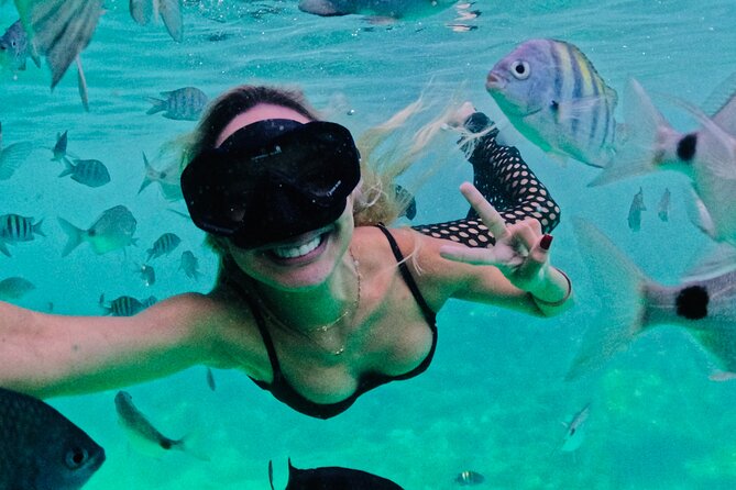 Angra dos Reis: A unique experience in paradise - Final Thoughts