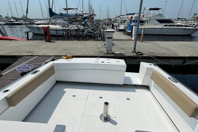 Ticket to New Year's Eve celebration on the Copacabana Waters - The Experience in Detail