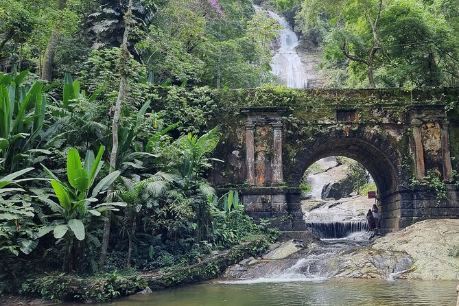 Tijuca Peak Hiking - The Highest Summit in Tijuca National Park - Transportation and Logistics