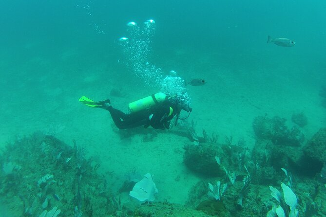 Rio's Best Dive Experience All Inclusive Scuba Diving Package! - Final Thoughts