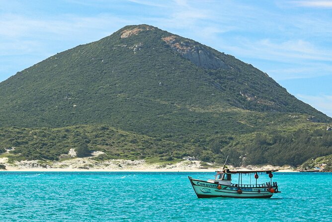 Rio's Best Dive Experience All Inclusive Scuba Diving Package! - A Clear Look at Rio’s Best Dive Experience: All-Inclusive Scuba Diving Package