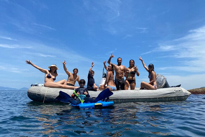 Boat Tour - Snorkeling with Turtles or Whale Watching Experience - Who Will Love This Tour?