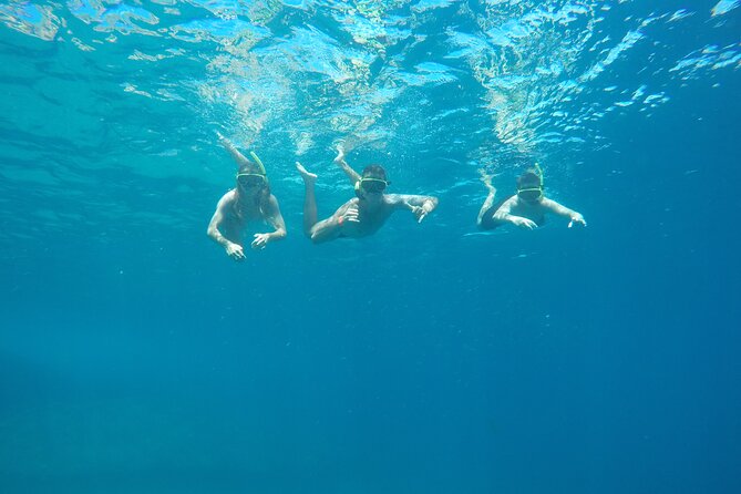 Boat Tour - Snorkeling with Turtles or Whale Watching Experience - A Closer Look at the Experience