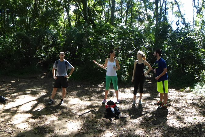 Pedra da Gávea Hiking Tour - The Most Challenge Hike in Rio de Janeiro - Final Words